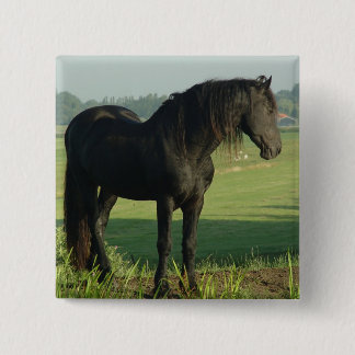 Chapa Cuadrada Caballo frisio