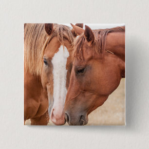 Chapa Cuadrada Caballos acariciándose en un prado