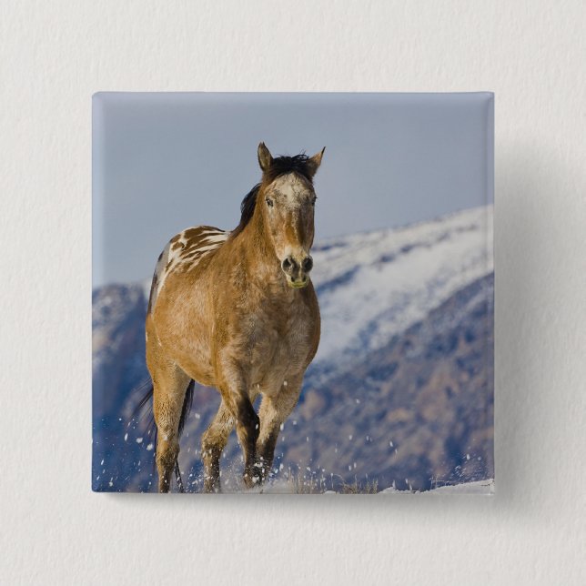 Chapa Cuadrada Caballos corriendo en nieve (Anverso)