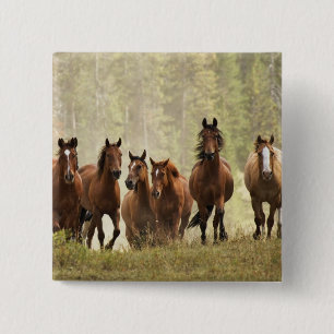 Chapa Cuadrada Caballos creyendo una pequeña colina durante el re