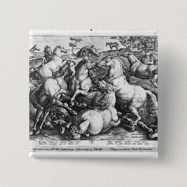 Chapa Cuadrada Caballos en el salvaje (Anverso)