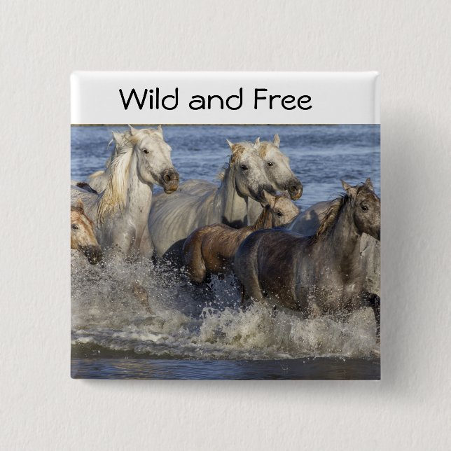 Chapa Cuadrada Caballos galopando en el agua (Anverso)