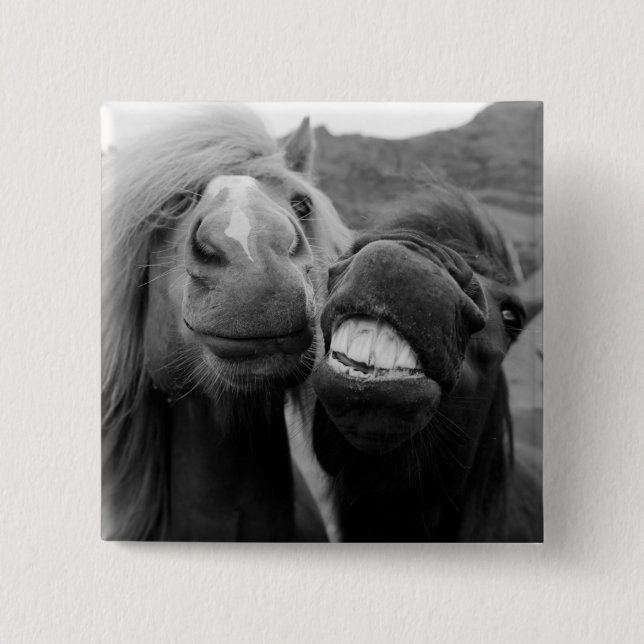 Chapa Cuadrada Caballos sonrientes de las imágenes el | de Getty (Anverso)