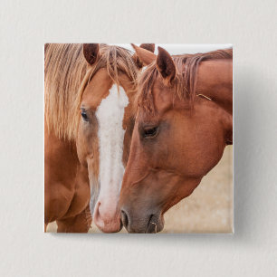 Chapa Cuadrada Caballos zumbando en un pasto