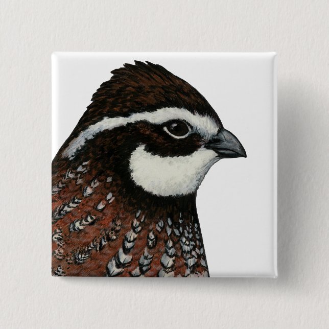 Chapa Cuadrada Cabeza de codorniz Bobwhite (Anverso)