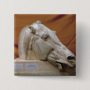 Chapa Cuadrada Cabeza de un caballo del Selene