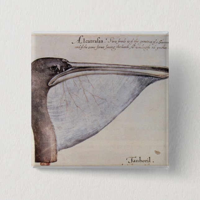 Chapa Cuadrada Cabeza de un pelícano de Brown (Anverso)