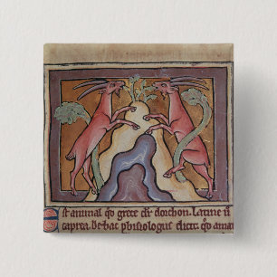 Chapa Cuadrada Cabras salvajes de Roy de un bestiario