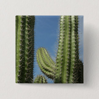 Chapa Cuadrada Cactus Barril I Foto del Desierto