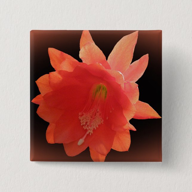 Chapa Cuadrada Cactus de orquídea - Epiphyllum Ackermannii - Blos (Anverso)