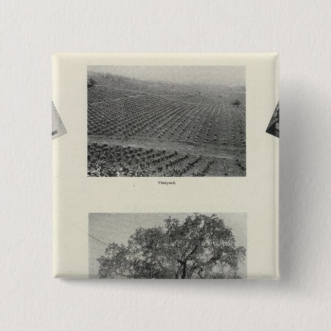 Chapa Cuadrada California 4 (Anverso)