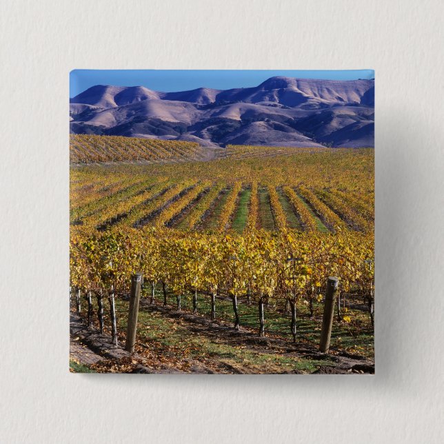 Chapa Cuadrada California, Condado de San Luis Obispo, Edna Valle (Anverso)