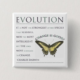 Chapa Cuadrada Cambio de la evolución