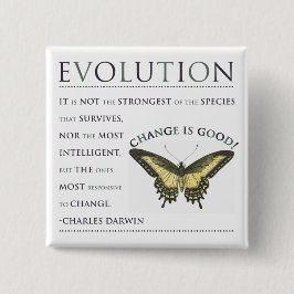 Chapa Cuadrada Cambio de la evolución