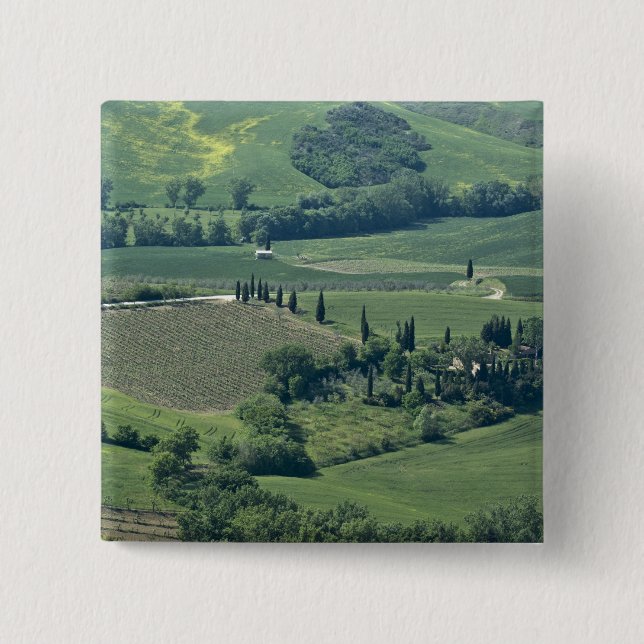 Chapa Cuadrada Campiña cerca de Montepulciano, Val d'Orcia, (Anverso)