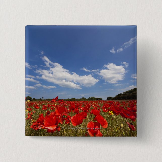 Chapa Cuadrada Campo por completo de flores rojas (Anverso)