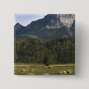 Chapa Cuadrada Campos con heno con fianza, Alberta, Canadá