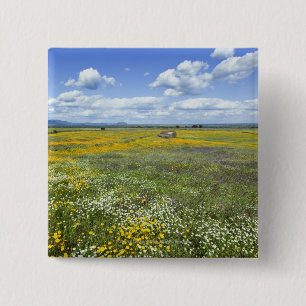 Chapa Cuadrada Campos en primavera cerca de Guadalupe