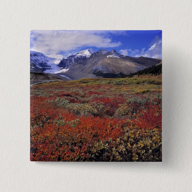 Chapa Cuadrada Canadá, Alberta, Banff NP. Huckleberries proporcio (Anverso)