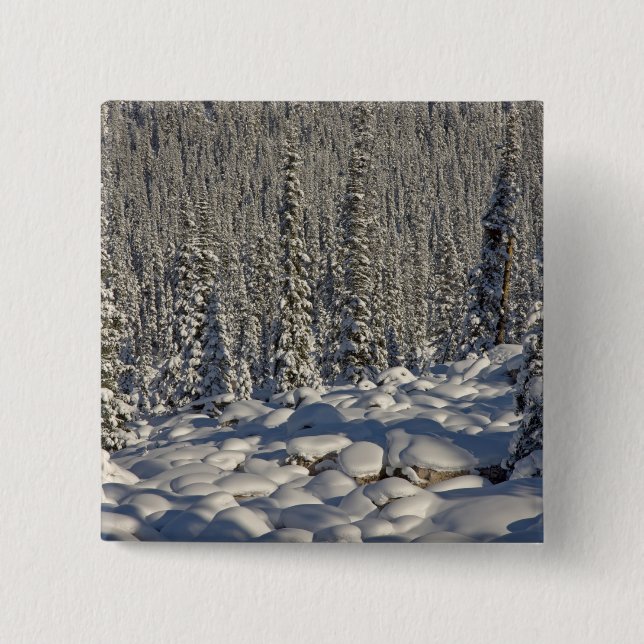 Chapa Cuadrada Canadá, Alberta, Parque Nacional Jasper. (Anverso)