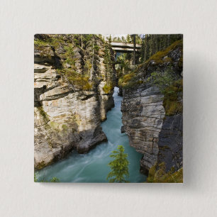 Chapa Cuadrada Canadá, Alberta, Parque Nacional Jasper, Athabasca