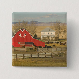 Chapa Cuadrada Canadá, Alberta, Pincher Creek: Rancho y granero 