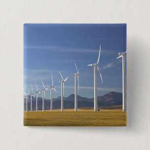 Chapa Cuadrada Canadá, Alberta, zona de paso de Crowsnest: Cowle