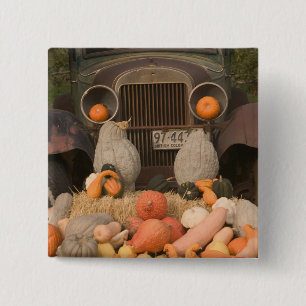 Chapa Cuadrada CANADÁ, Columbia Británica, Keremeos. Otoño /