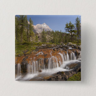 Chapa Cuadrada Canadá, Columbia Británica, Parque Nacional Yoho. 