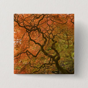 Chapa Cuadrada CANADÁ, Columbia Británica, Victoria. Otoño 2