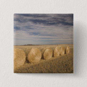 Chapa Cuadrada Canadá, Saskatchewan, Craik: Rodillos de heno / Ot