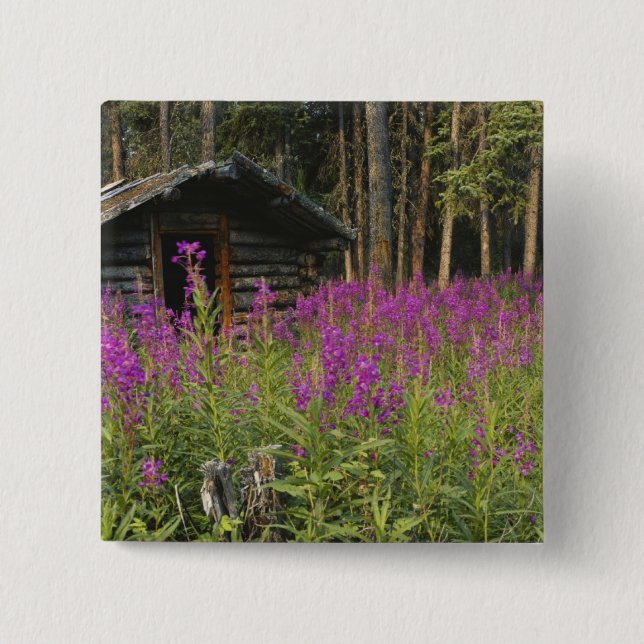 Chapa Cuadrada Canadá, Yukón, zona del Río Ross, cabina abandonad (Anverso)