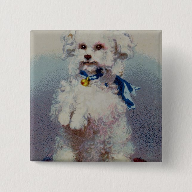 Chapa Cuadrada Caniche con la cinta azul (Anverso)