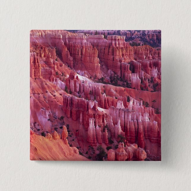 Chapa Cuadrada Cañón Bryce, Utah, EE. UU. (Anverso)