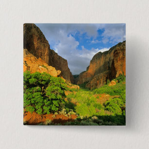 Chapa Cuadrada Cañón Kolob en Zion Canyon en Zion National