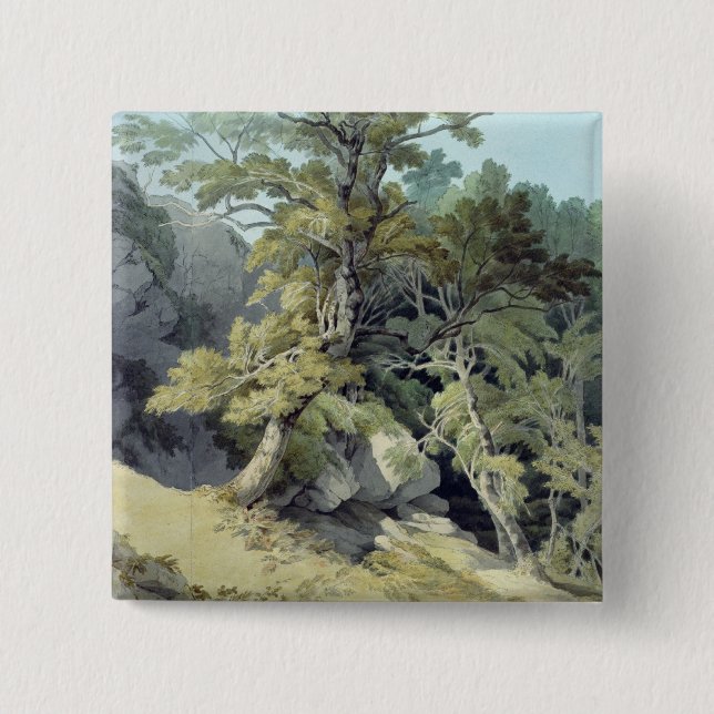 Chapa Cuadrada Canonteign, Devon (Anverso)