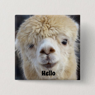 Chapa Cuadrada Cara de alpaca linda