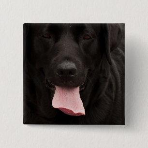 Chapa Cuadrada Cara de perro negro
