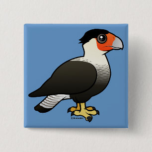 Chapa Cuadrada Caracara con cresta