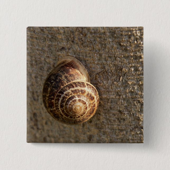 Chapa Cuadrada Caracol (Anverso)