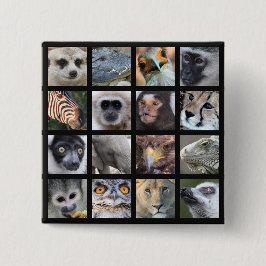 Chapa Cuadrada Caras del animal salvaje -- Mamíferos, reptiles,