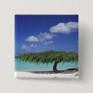Chapa Cuadrada Caribe, Aruba. Playa Eagle