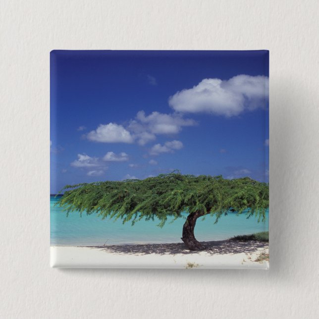 Chapa Cuadrada Caribe, Aruba. Playa Eagle (Anverso)