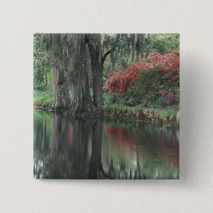 Chapa Cuadrada Carolina del Sur, Charleston