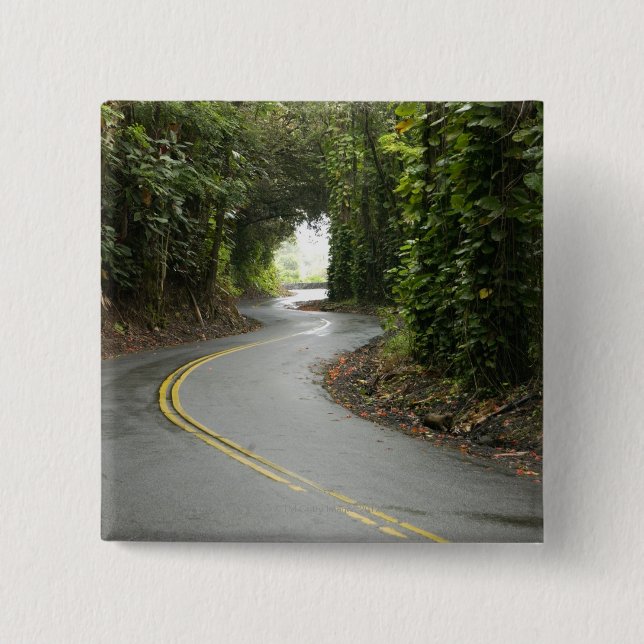 Chapa Cuadrada Carreteras con curvas a través de la selva (Anverso)