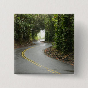 Chapa Cuadrada Carreteras con curvas a través de la selva