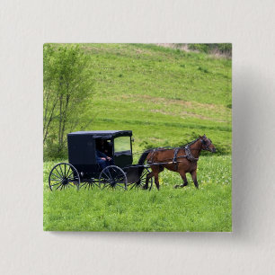 Chapa Cuadrada Carro y caballo Amish cerca de Berlín, Ohio.