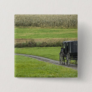 Chapa Cuadrada Carruaje Amish en camino de granja, Ohio Nororient