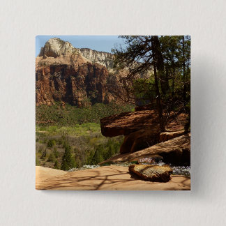 Chapa Cuadrada Cascada en Emerald Pools en Zion National Park