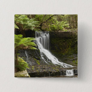 Chapa Cuadrada Cascada Horseshoe, Parque Nacional Mount Field,